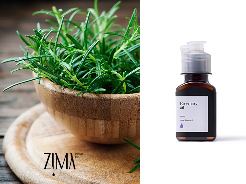 روغن رزماری